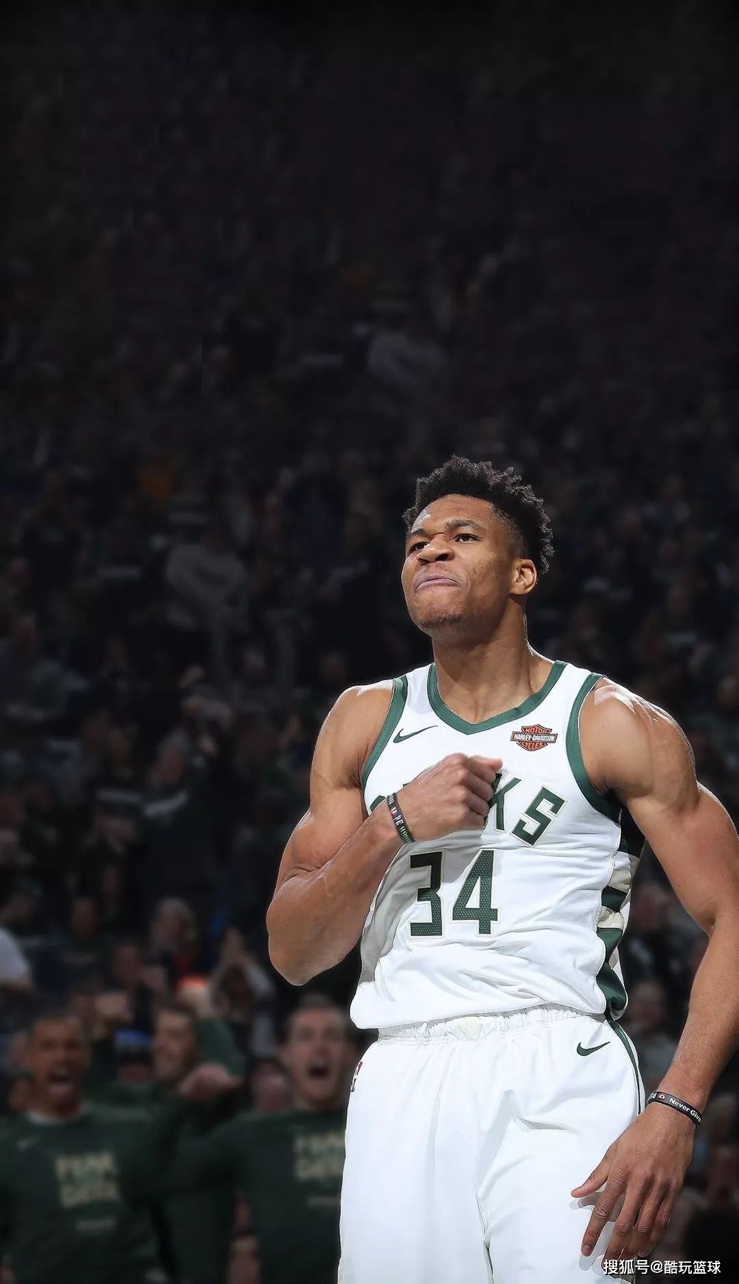 悉尼德比首发：巴巴洛塞斯PK罗里，基斯佩在列